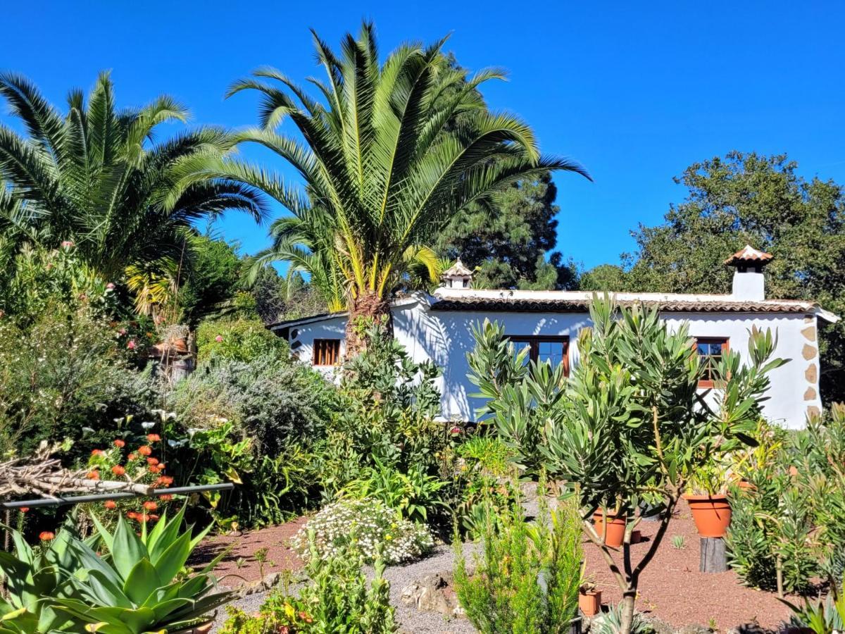 Finca Llano De La Cebolla Icod De Los Vinos Εξωτερικό φωτογραφία
