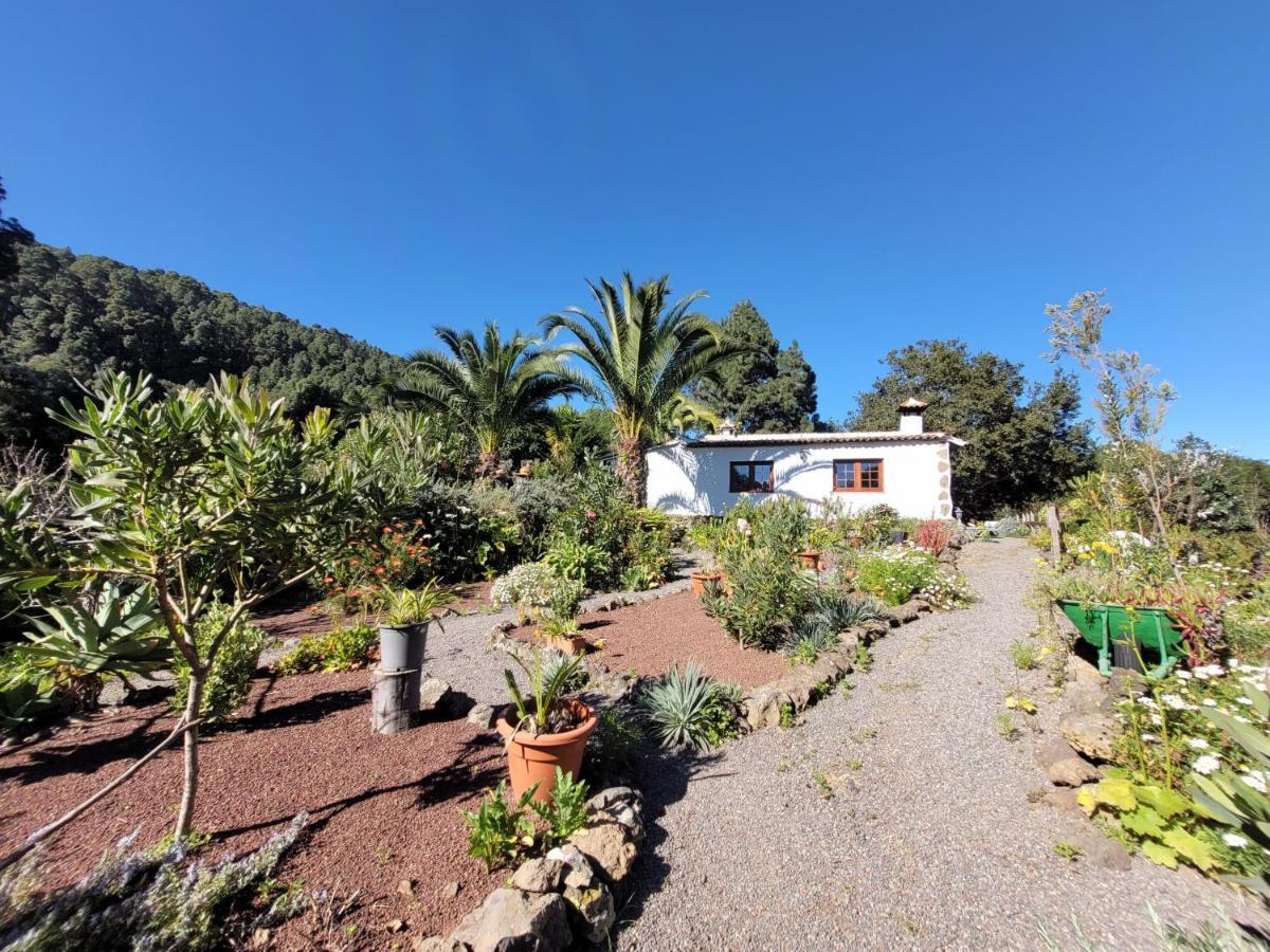 Finca Llano De La Cebolla Icod De Los Vinos Εξωτερικό φωτογραφία