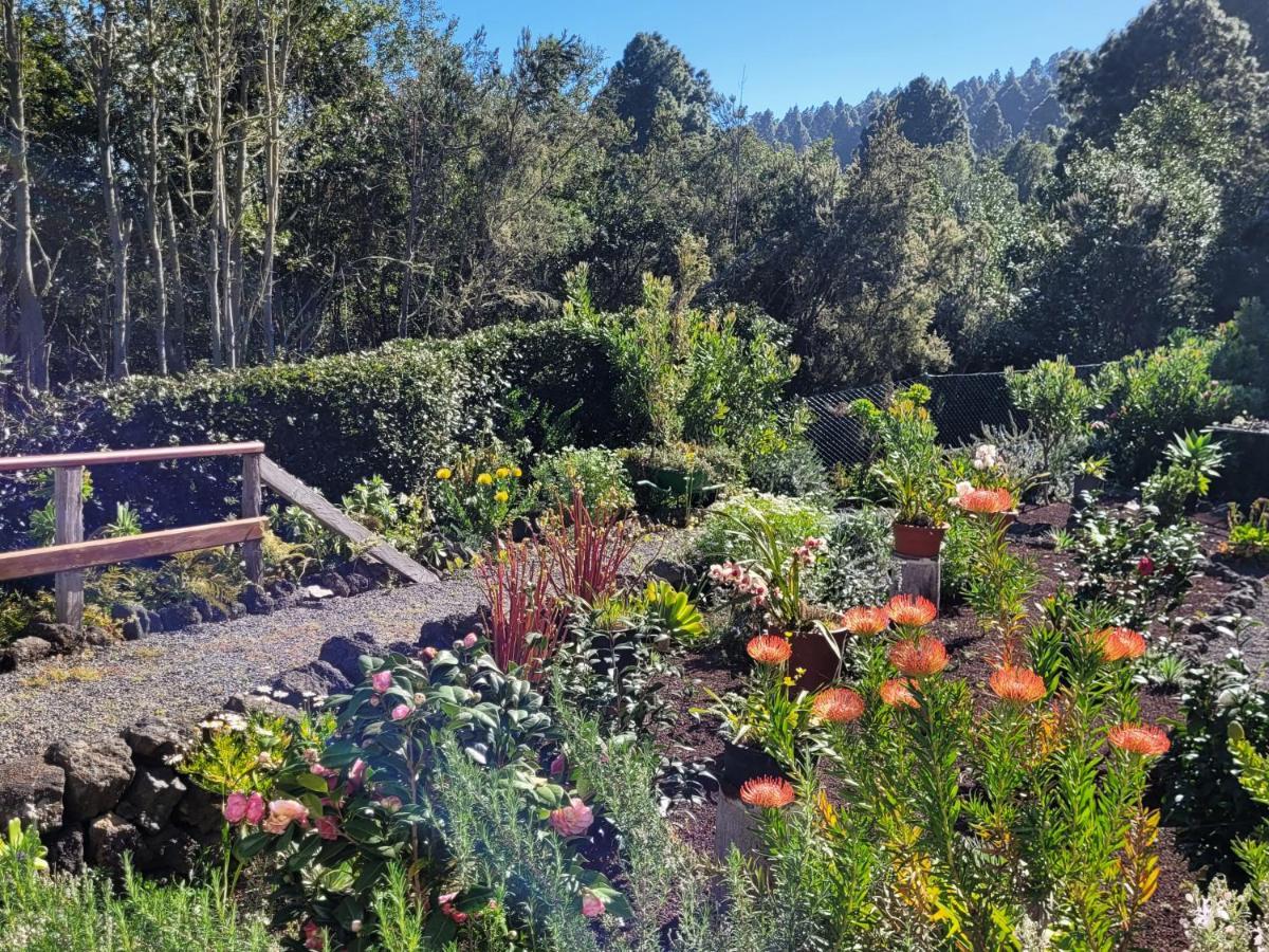 Finca Llano De La Cebolla Icod De Los Vinos Εξωτερικό φωτογραφία