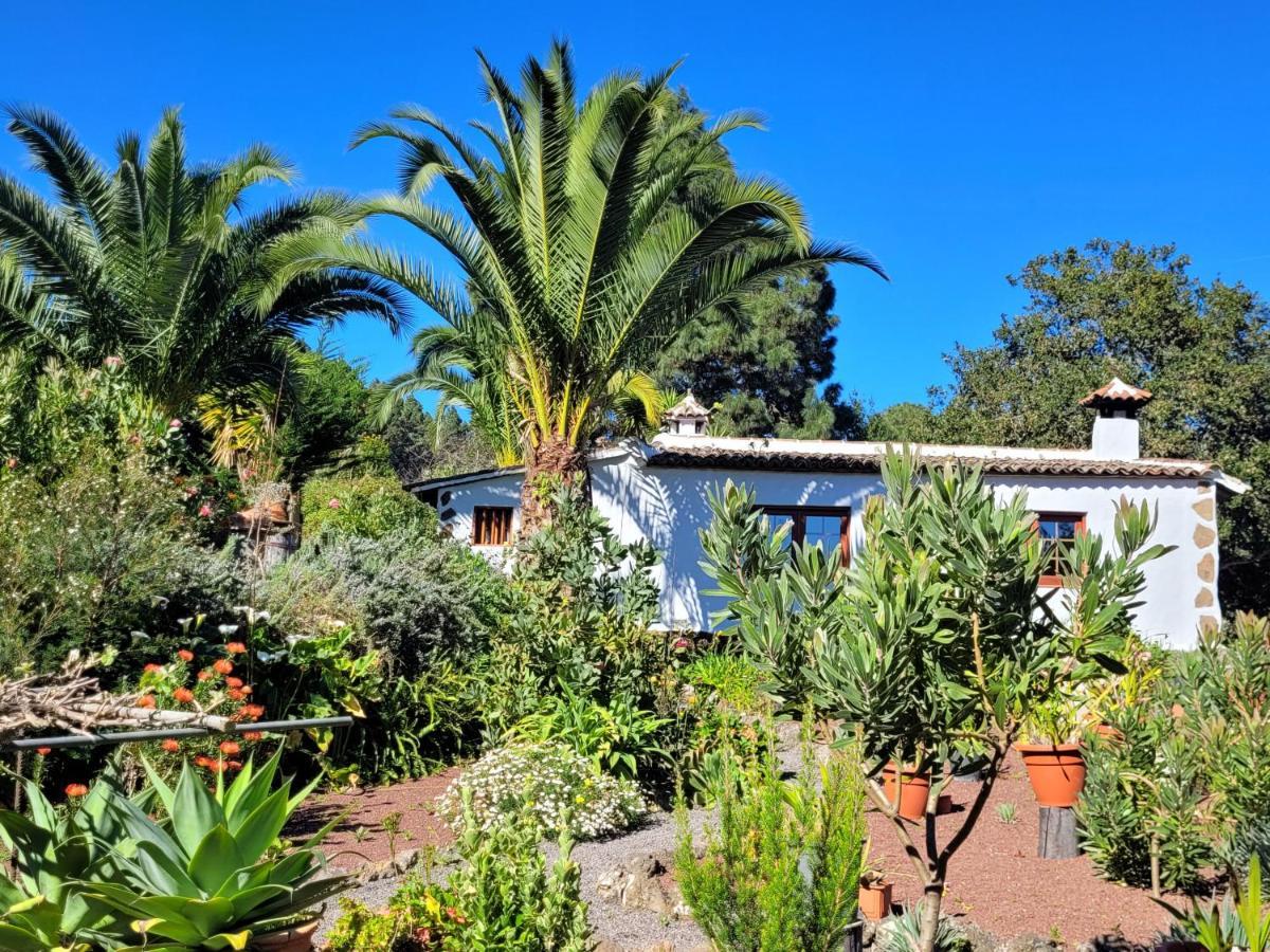 Finca Llano De La Cebolla Icod De Los Vinos Εξωτερικό φωτογραφία