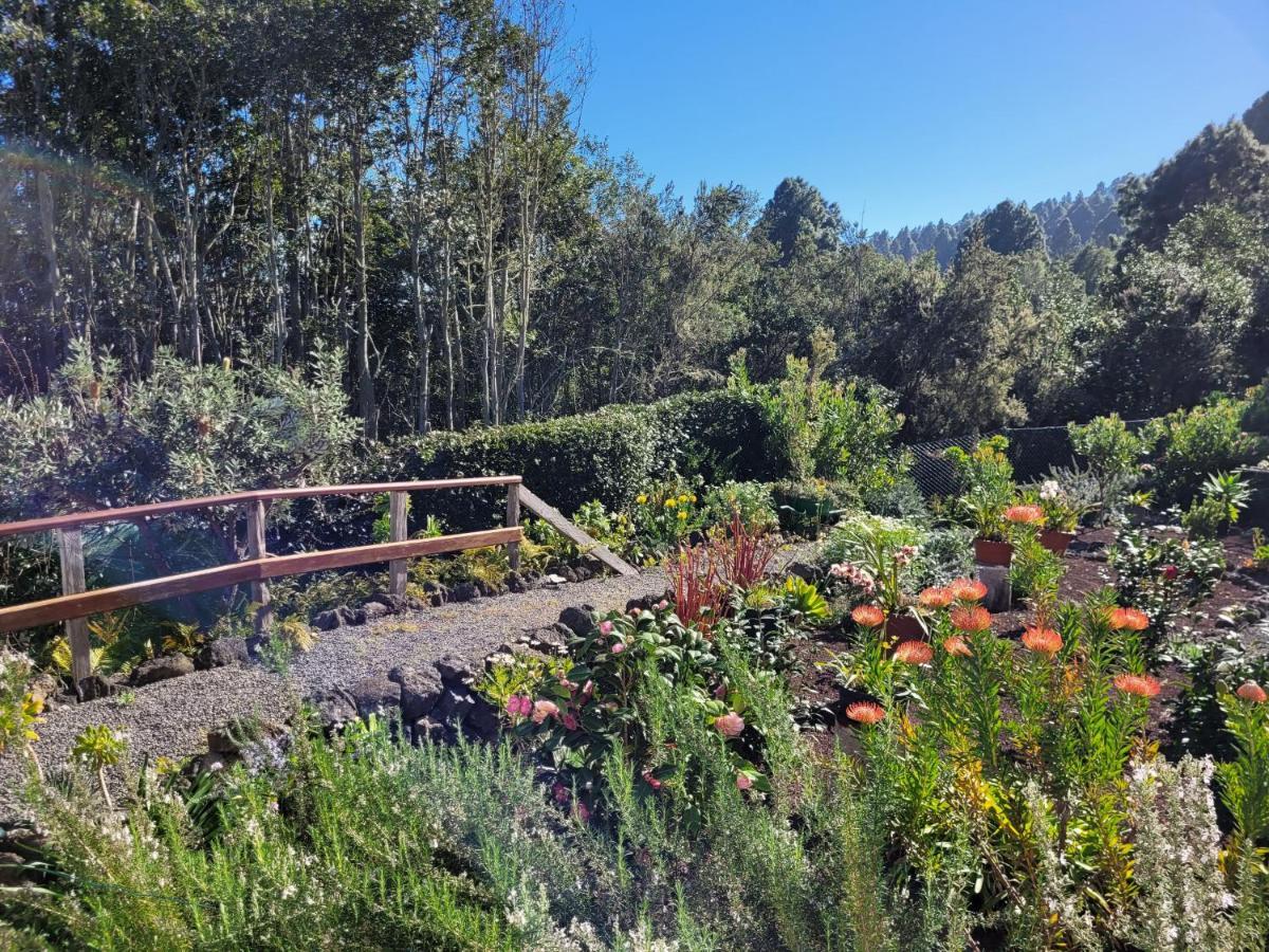 Finca Llano De La Cebolla Icod De Los Vinos Εξωτερικό φωτογραφία