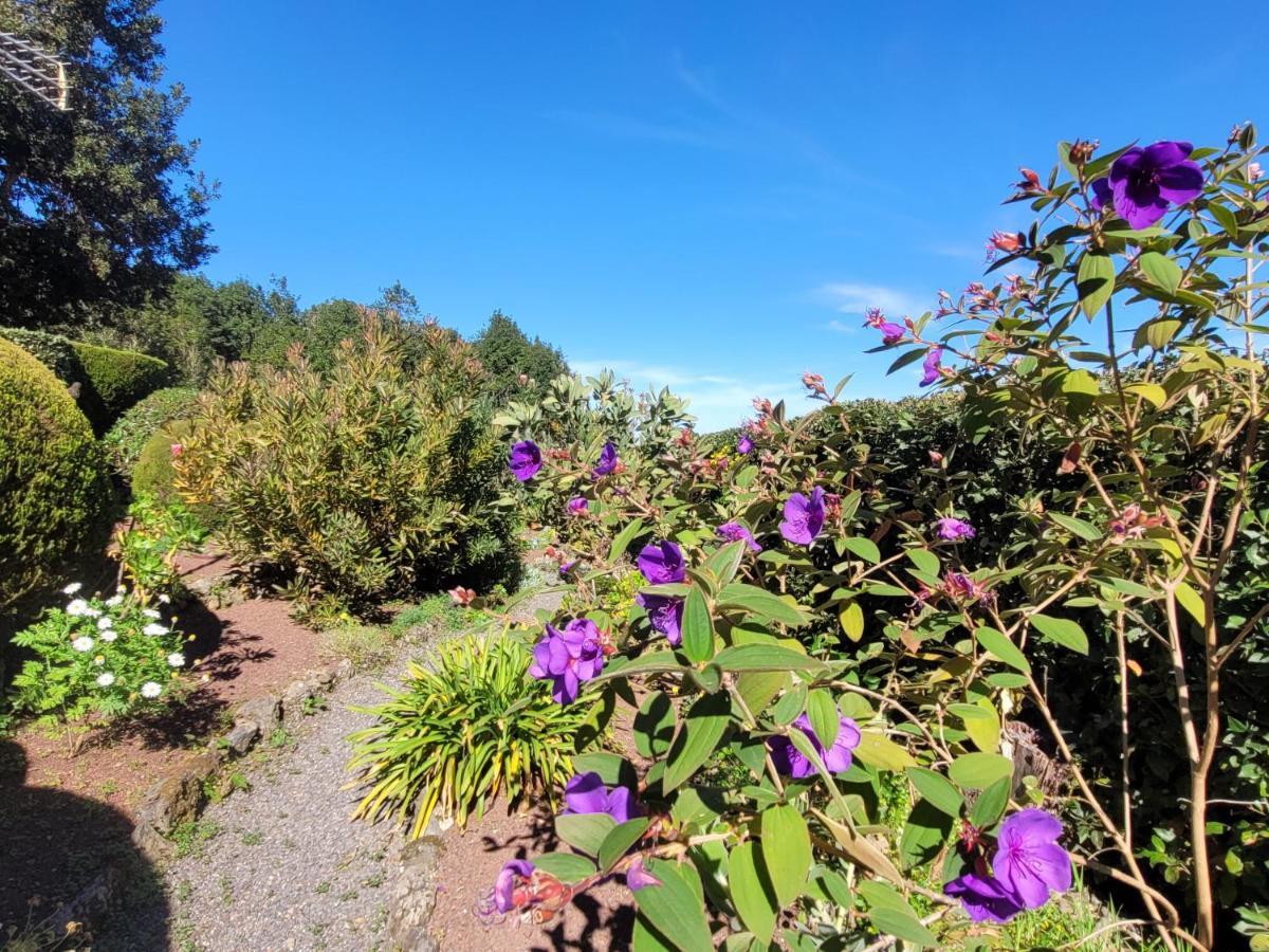 Finca Llano De La Cebolla Icod De Los Vinos Εξωτερικό φωτογραφία