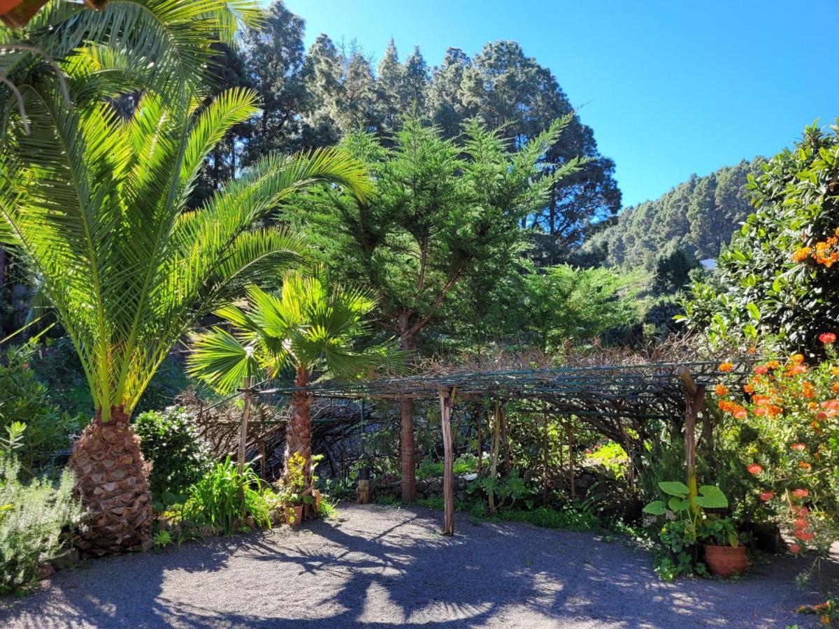 Finca Llano De La Cebolla Icod De Los Vinos Εξωτερικό φωτογραφία